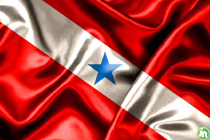 Os números de&nbsp;2015