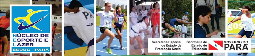 CRONOGRAMA DE AÇÕES DO NEL&nbsp;2017